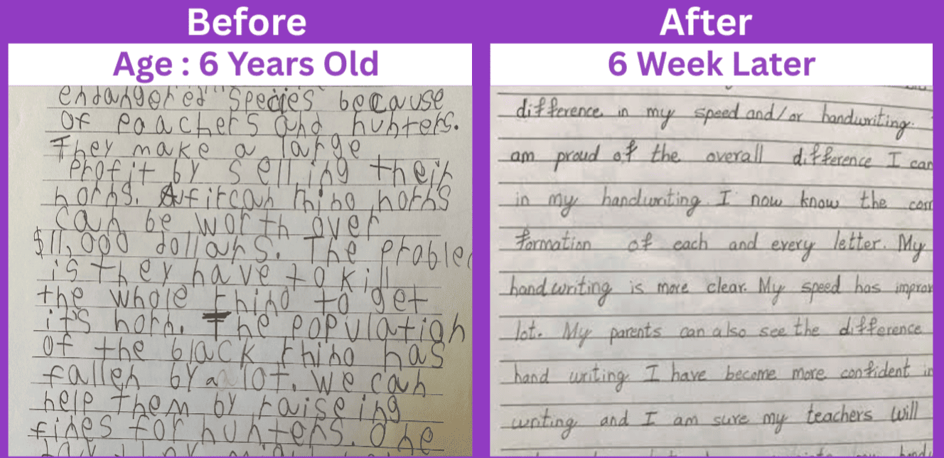 Section Background Image