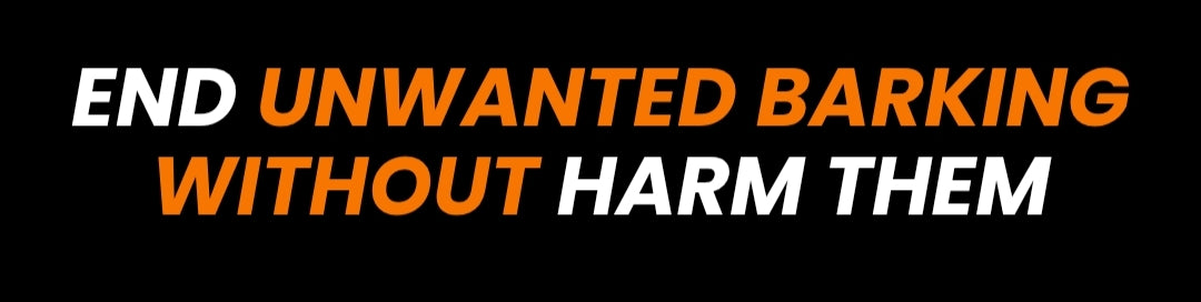 Section Background Image