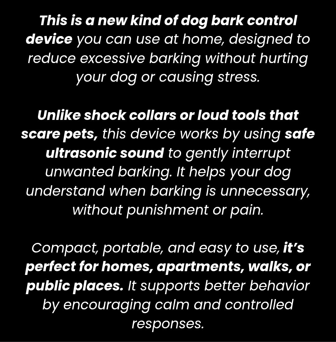 Section Background Image