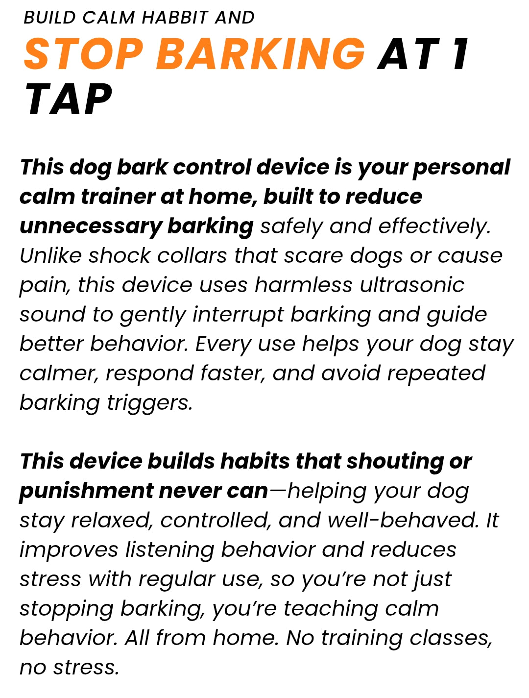 Section Background Image