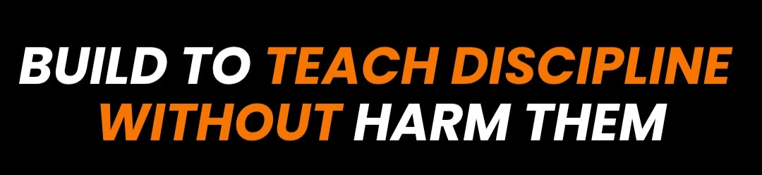 Section Background Image