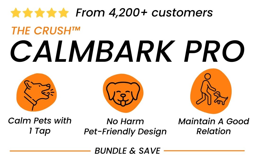 Section Background Image