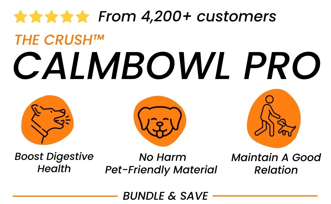 Section Background Image