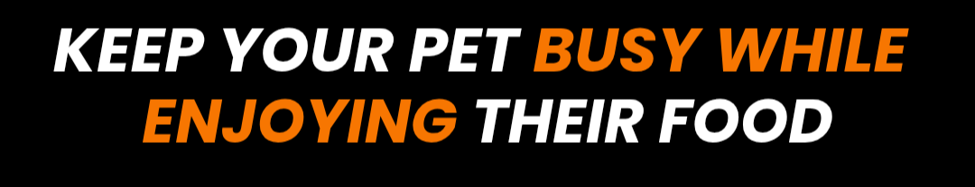 Section Background Image