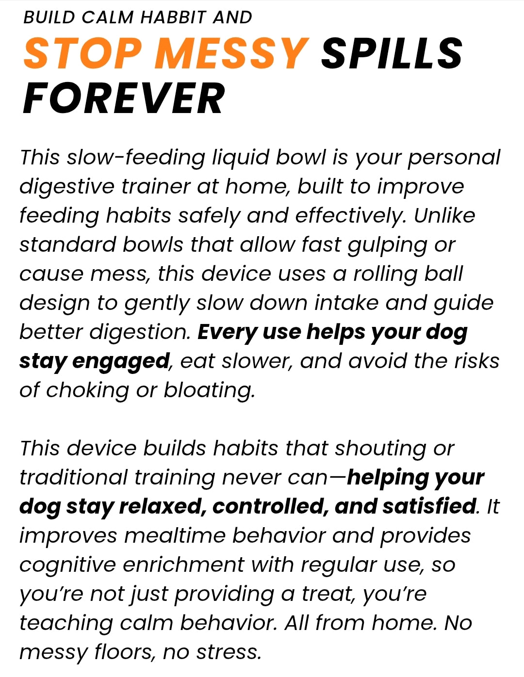 Section Background Image