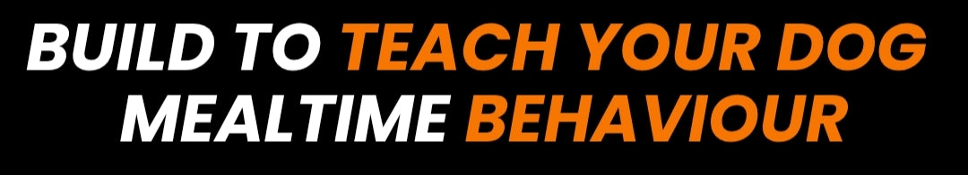 Section Background Image