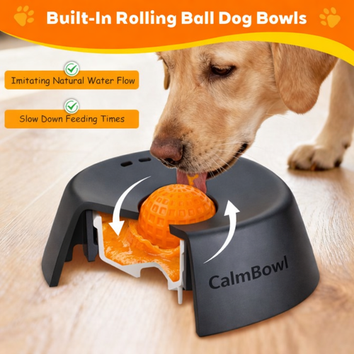 Dog Lick Bowl
